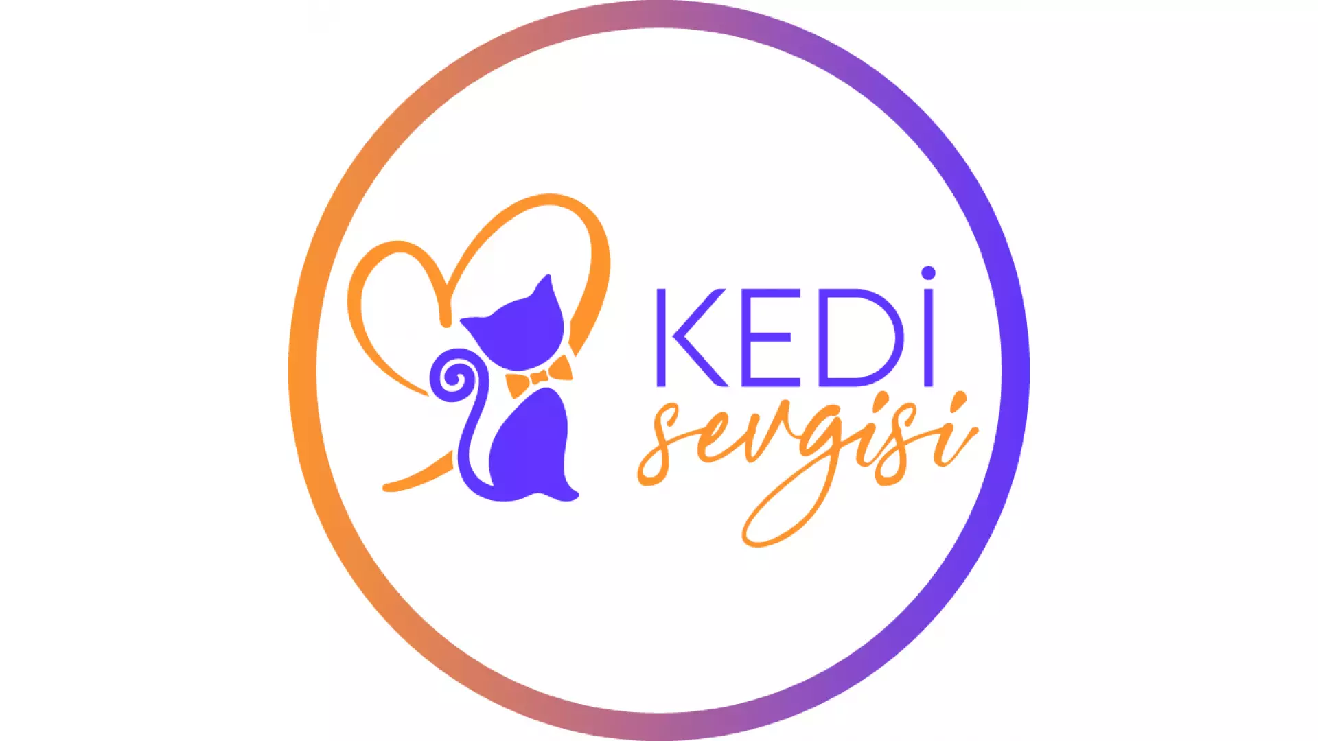 Kedi Sevgisi